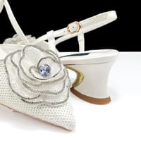 inted Toe Women Shoes and Bag Set