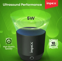 Impex Portable Bluetooth Speaker BTS 2013