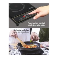 طباخ الحث سانفورد