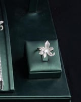 طقم ليمنحكِ إطلالة مشرقة تنبض بالفخامة والتألق في...