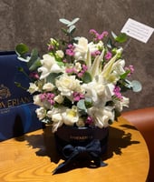 تنسيق شوكلت هونفريان 3 ادوار