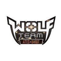 بطاقة وولف تيم الشرق الاوسط – 1000 كاش