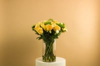 فازة لمسة ناعمه