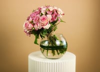 فازة همسة زهري