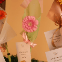 توزيعة جربيرا مع شكولاتة