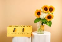 زهرة الصباح