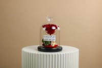 أبدية المشاعر