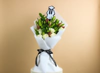 نقاء التخرج