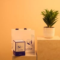 تنسيق نبتة دراسينا مع شوكولاتة Poco Dor