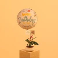 عيد ميلاد سعيد مع قسيمة من جويس هاند سبا