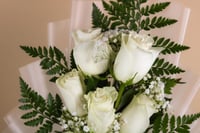 باقة نقاء الأمل