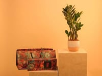 تنسيق نبتة زاميا مع شوكولاتة Bite