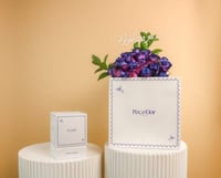 هديه الباقه الجديده