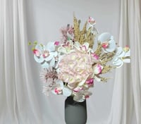 فازة الهناء