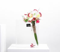 باقة سمك الفايتر