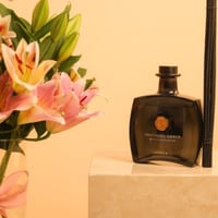 عبير المنزل الجديد