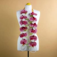 طوق تخرج الاوركيد