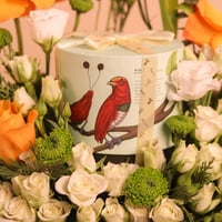 تنسيق بهجة الألوان