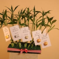 توزيعات بامبو وشوكولاتة