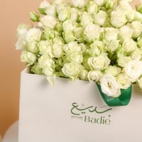 حكاية بيضاء