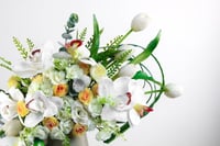 فازة الاوركيد