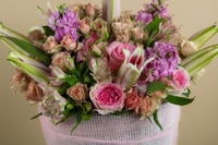 باقة الشيفون