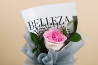 وردة الجيبسو