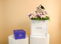 طيف الأناقة