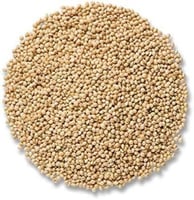 حبوب الدخن Millet