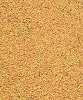 باتيه بالفواكه