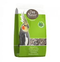 حبوب طائر الكوكتيل والروز