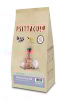 حليب الحويصلة من اليوم الاول سيتاكوس