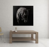 لوحة خجيلان-لوحات جدارية خيل.