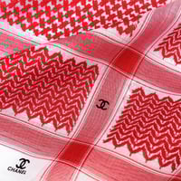 بكج تألق الشيوخ