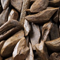 دقة العود المروكي