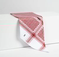 ثلاث اشمغة ملكي خاص