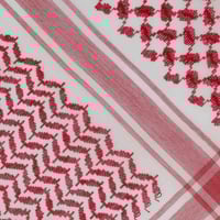 شماغ سيار - شلش