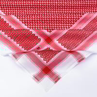 بكج تألق الشيوخ