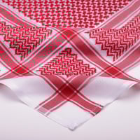 شماغ MOUNTAIN BLANIC