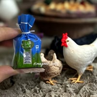 مغناطيس دجاج اليوم