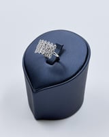 طقم اكسسوار على شكل تشوكر انيق