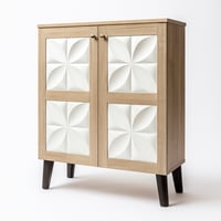 دولاب جزم ماليزي