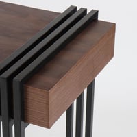 كونسول رايز - بني