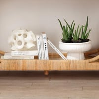 الصدفة الرخامية المفرغة