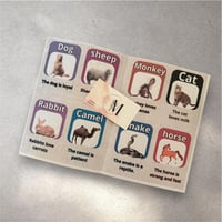 انجليزي Wildlife( الحيوانات )