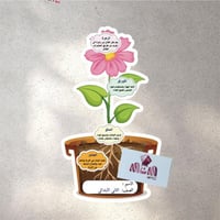 اجزاء النبات