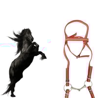 لجام خيل احمر