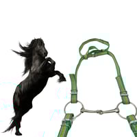 لجام خيل اخضر