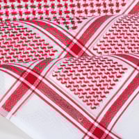 عرض حصري شماغ ماريو فالنتينو سلفر + شماغ ماريو فال...