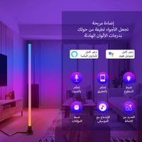 مصباح ارضي RGBIC